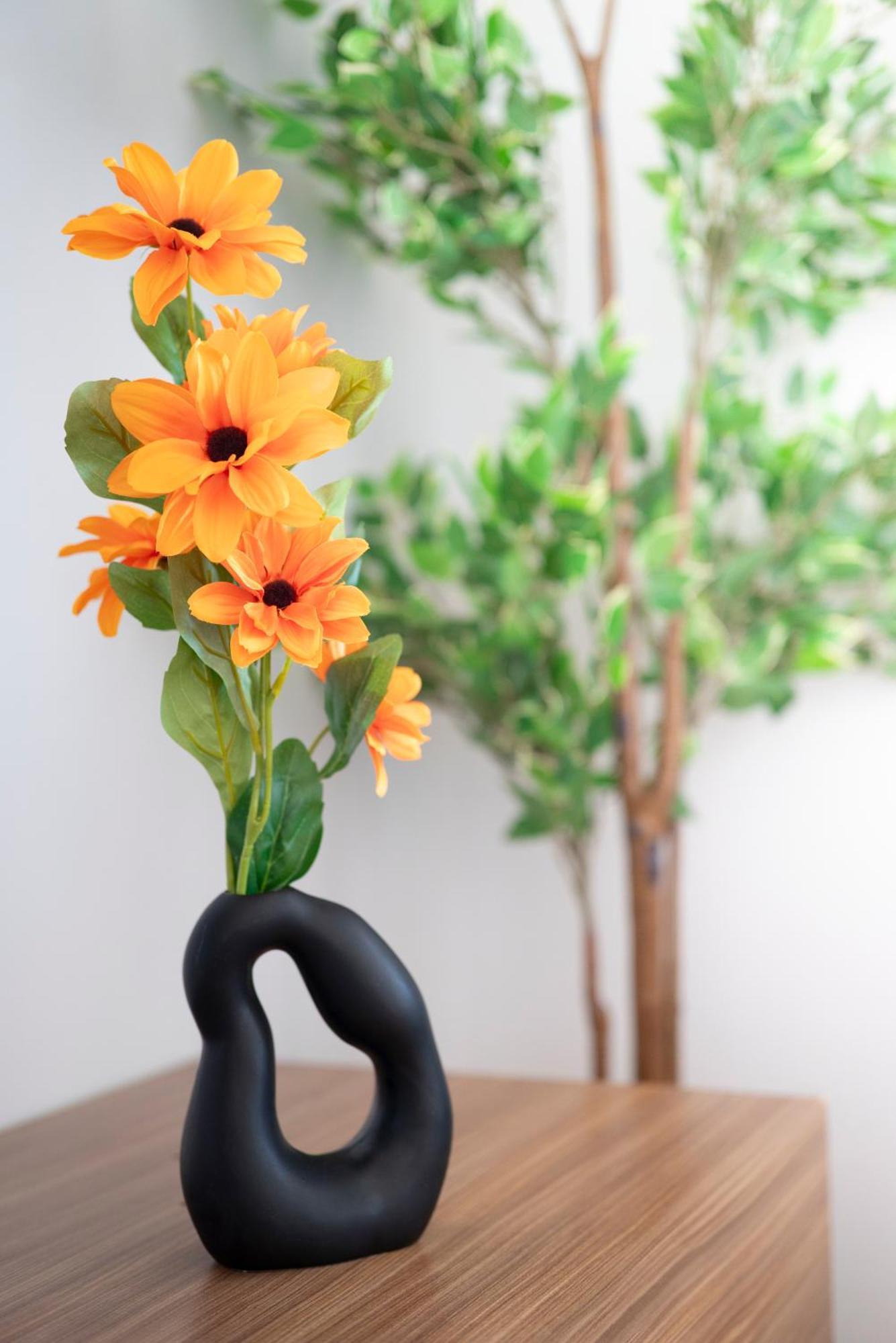 The Orange House Apartment อิซอลา ภายนอก รูปภาพ